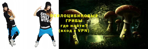 apvp Балахна