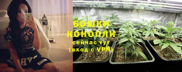 ПСИЛОЦИБИНОВЫЕ ГРИБЫ Балабаново